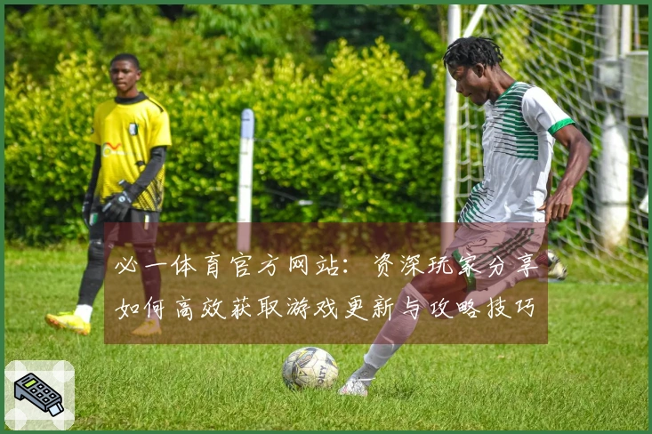必一体育官方网站：资深玩家分享如何高效获取游戏更新与攻略技巧