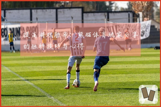 提高游戏胜率：熊猫体育玩家分享的独特技巧与心得