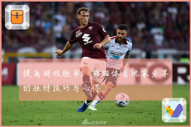 提高游戏胜率：熊猫体育玩家分享的独特技巧与心得