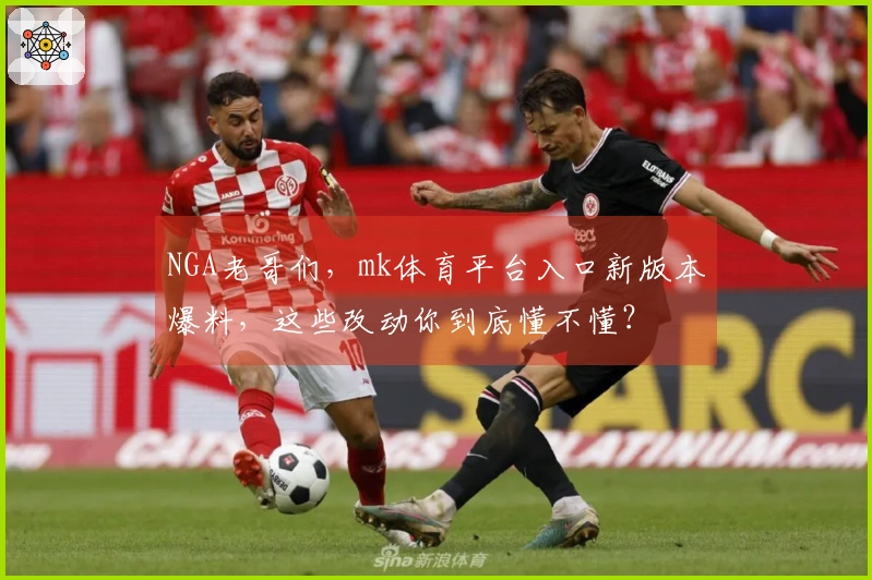NGA老哥们，mk体育平台入口新版本爆料，这些改动你到底懂不懂？
