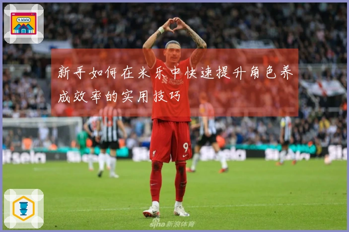 新手如何在米乐中快速提升角色养成效率的实用技巧